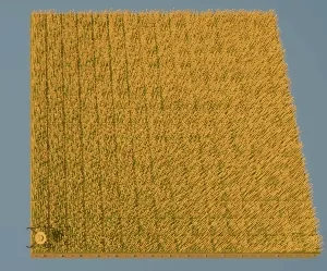 Cactus Sorting Visualization